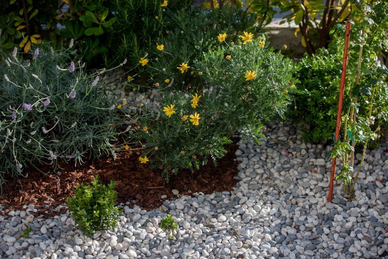 Peaceful Haven Near The Sea-Apartments Torlak Rab Banjol Εξωτερικό φωτογραφία